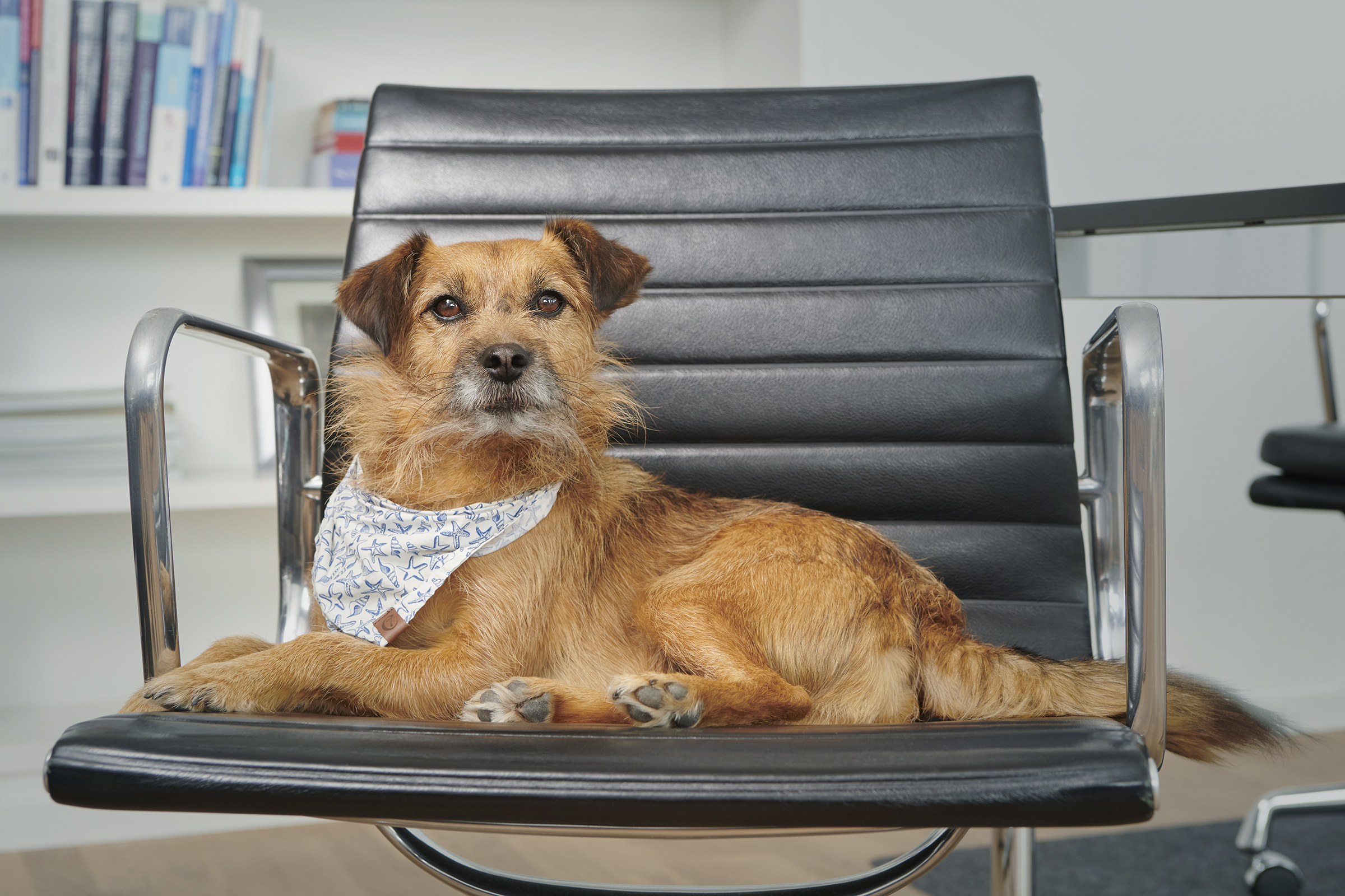 Portraits_Endocardia260425_119